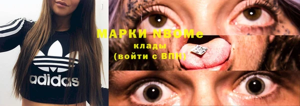 прущие грибы Абаза