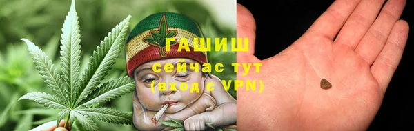 прущие грибы Абаза