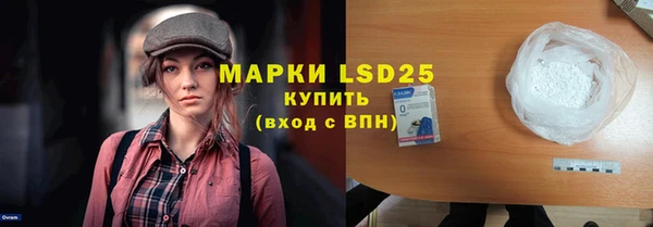 прущие грибы Абаза