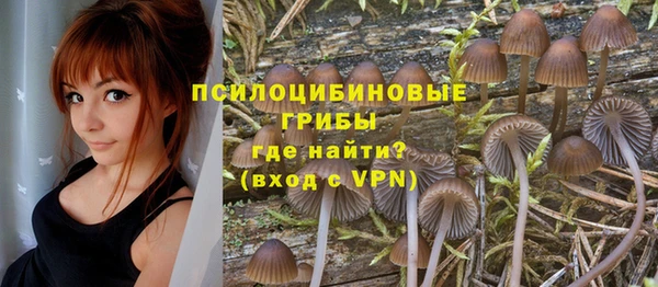 spice Абинск