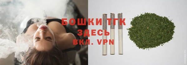 прущие грибы Абаза