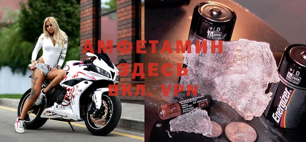 прущие грибы Абаза