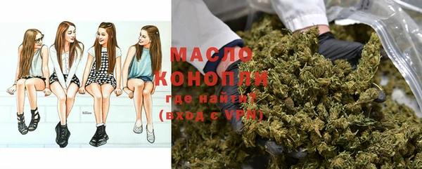 прущие грибы Абаза