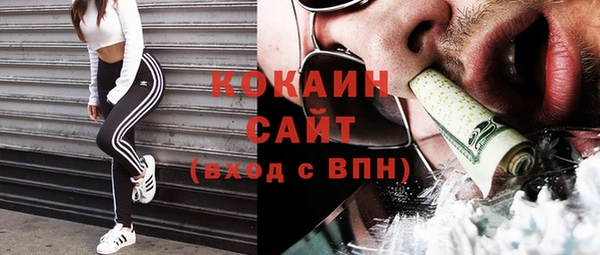 прущие грибы Абаза
