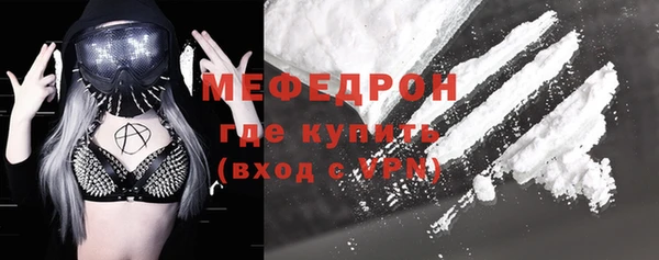 прущие грибы Абаза